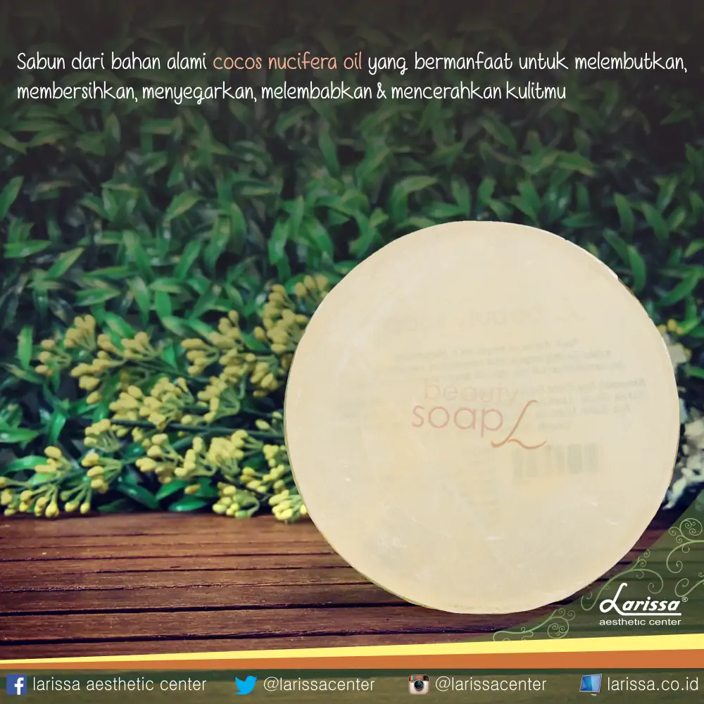 Segar Bersinar dengan Beauty Soap Larissa