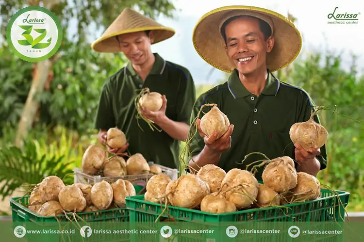 Bahan-Bahan Alami Fruit Facial Larissa