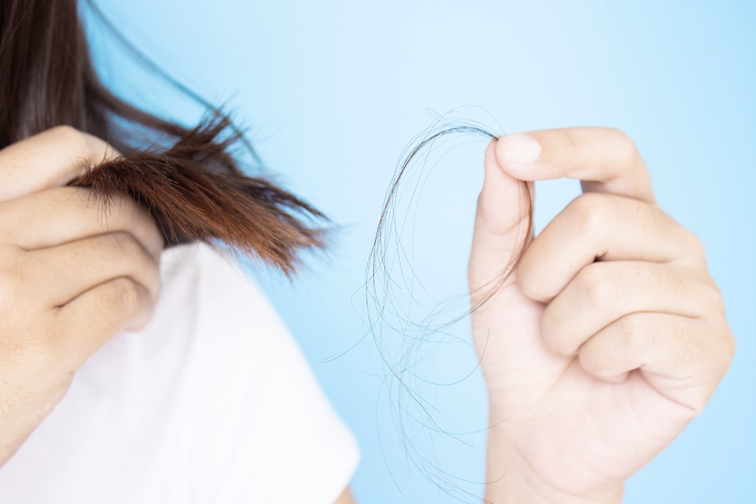 Rekomendasi Shampo Untuk Rambut Rusak
