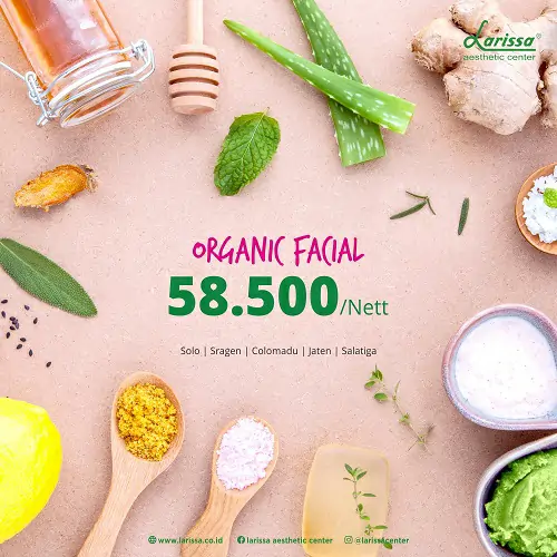 PROMO ORGANIC FACIAL