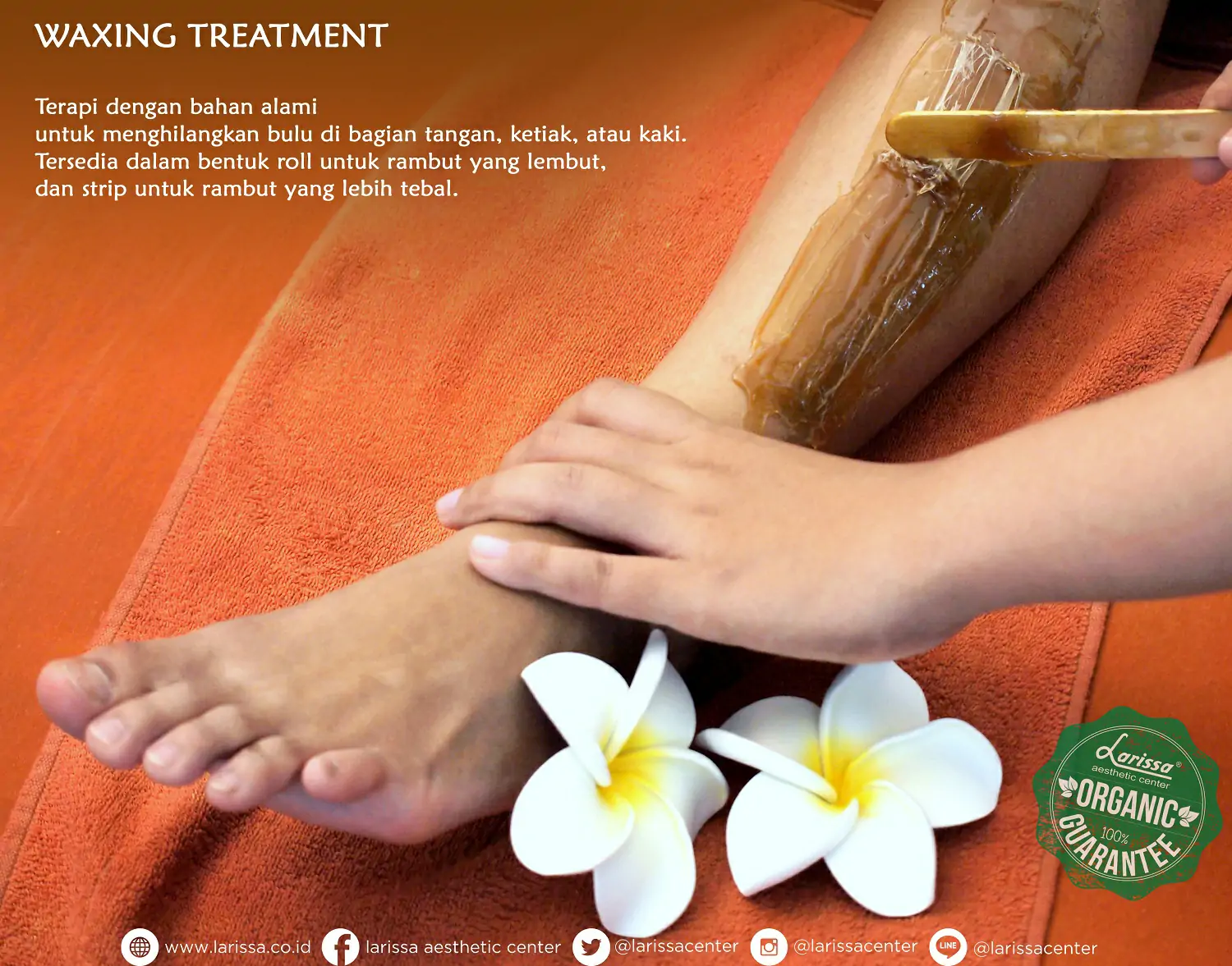 Larissa Waxing Hair Treatments